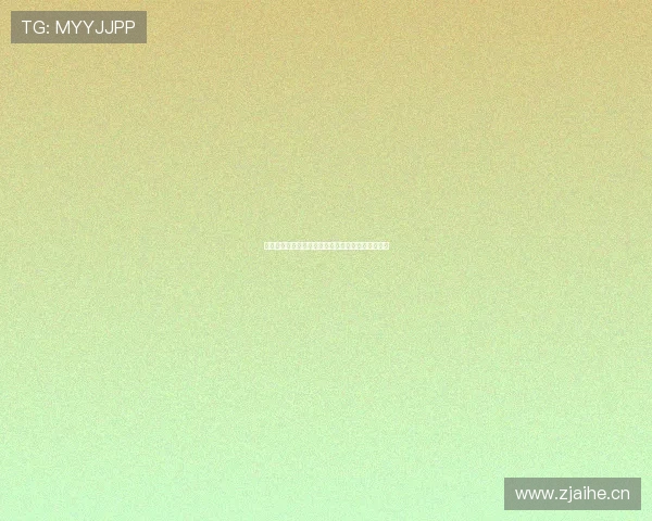 熊猫体育馆周边探索：打造多功能运动与休闲新地标